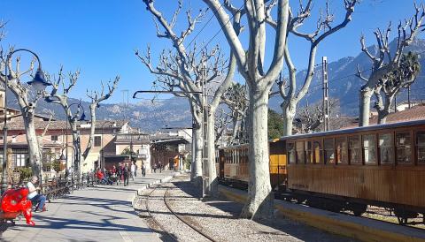 soller