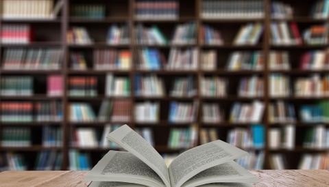 AUXILIAR DE BIBLIOTECA