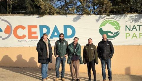 CEPAD 