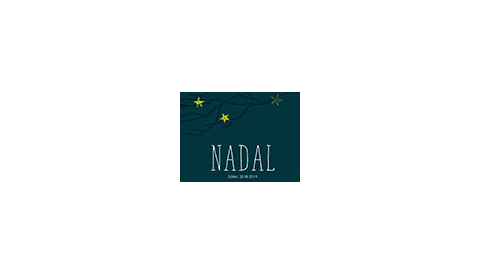 PROGRAMA DE NADAL 2018-19